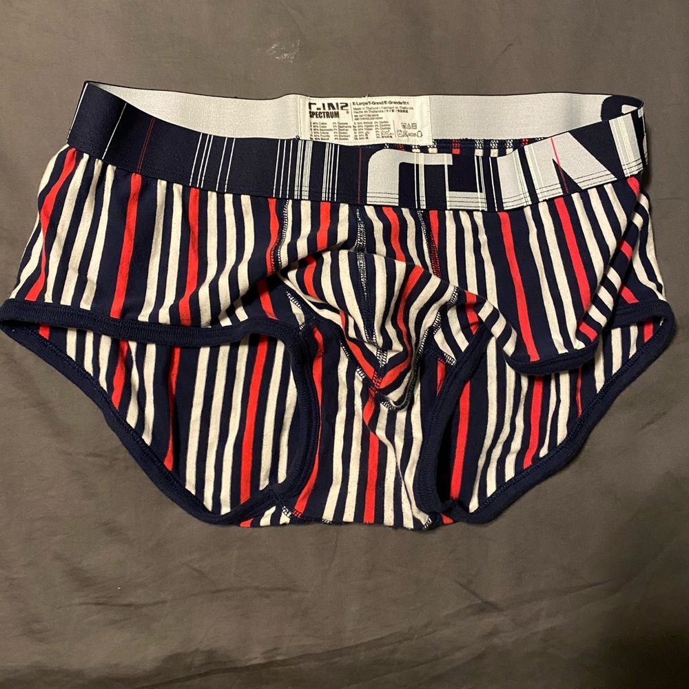 C-IN2 Brief